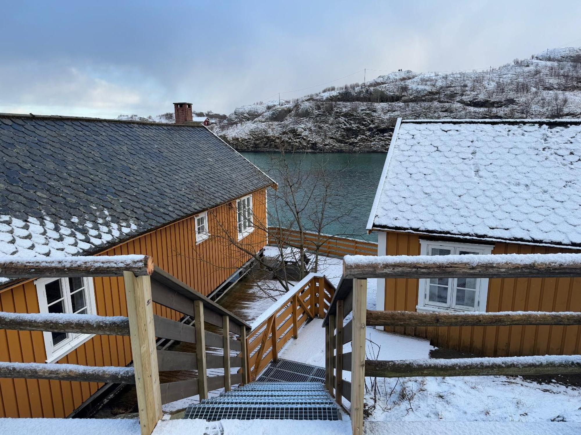 Sakrisoy Rorbuer Otel Reine Dış mekan fotoğraf